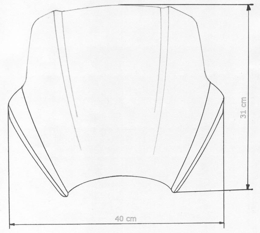 SPEED-SCREEN "A" BMW F800R - Speed-Screen "A" for Naked-Bikes