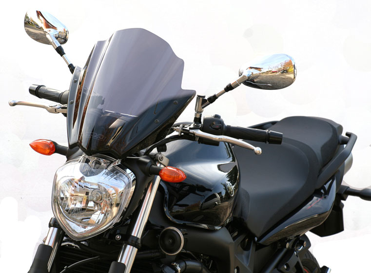 FZS 6 ( S2 ) - Racing-Screen for Naked-Bikes "RNB"