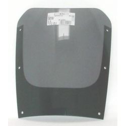 GPX 600 R - Originally-shaped windshield 