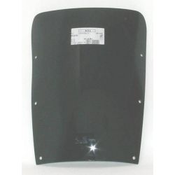 GPX 600 R - Touring windshield 
