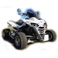 KFX 700 - Racing-Screen for Naked-Bikes 