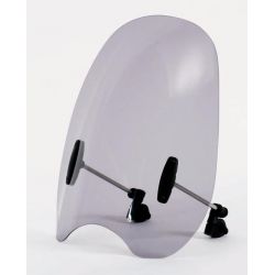 GSF 600 BANDIT - Customshield 