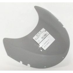 RGV 250 - Originally-shaped windshield 