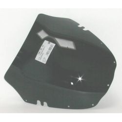 RGV 250 - Touring windshield 