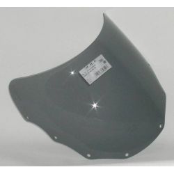 DAYTONA 1000 - Spoiler windshield 