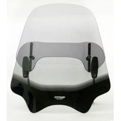 VARIO-SCREEN NAKED BIKE TYP 