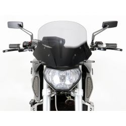 FZ-09 - Touring windshield 