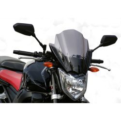 FZS 1 / FAZER - Racing-Screen for Naked-Bikes 