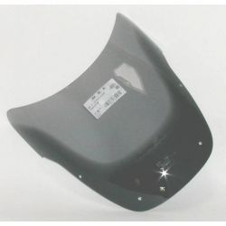 GTS 1000 - Spoiler windshield 
